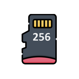 256 GB