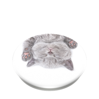 PopSockets PopGrip Gen.2, Cat Nap, spiace mačiatko