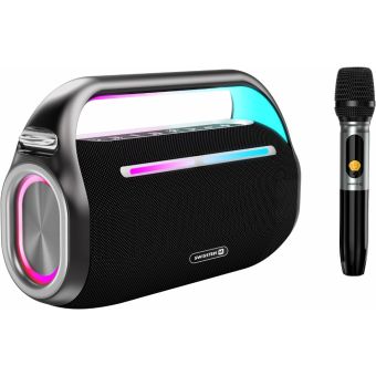 SWISSTEN HARMONY 80W čierny